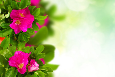 Similar image 20070416