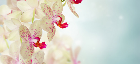 Similar image 20070417