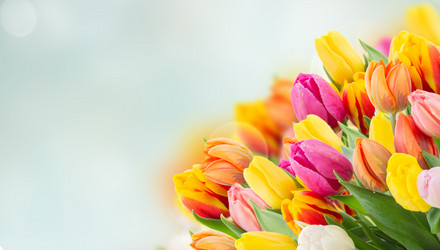 Similar image 20070418