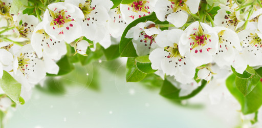 Similar image 20070420