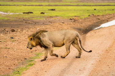 Similar image 20120855