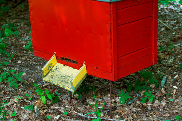 Similar image 20105671