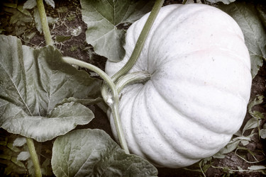 Similar image 20158581