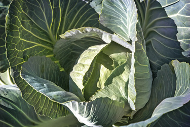 Similar image 20158592