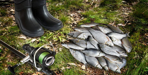 Similar image 20158600