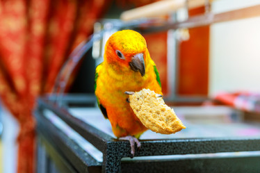 Similar image 19940877