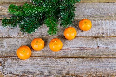 Similar image 19940728