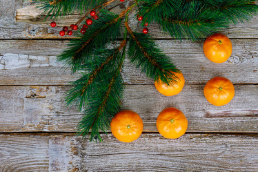 Similar image 19940729