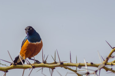 Similar image 20121020