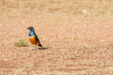 Similar image 20121032