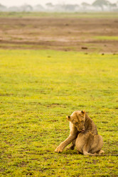 Similar image 20120938