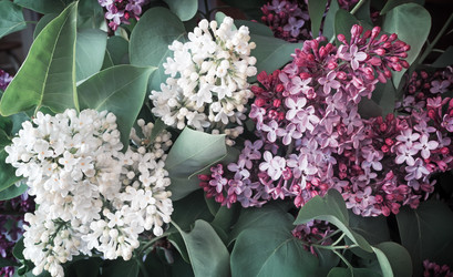 Similar image 20161124