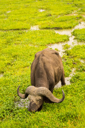 Similar image 20120940