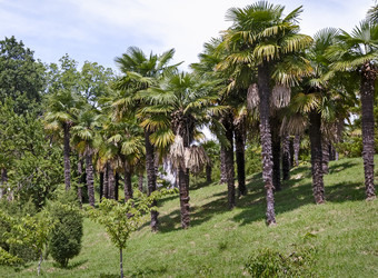 Similar image 20158516