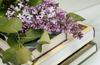 Similar image 20158526