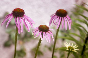 Similar image 20158527