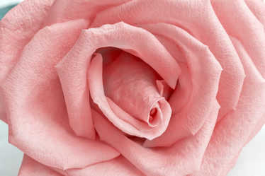 Similar image 20158580