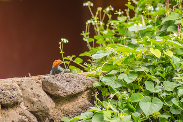 Similar image 20120981