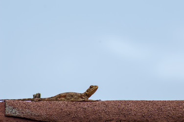 Similar image 20121030