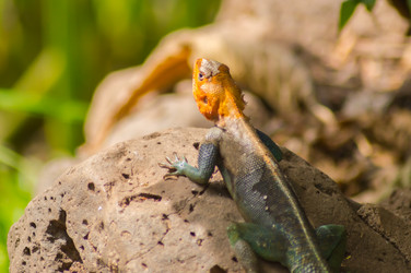 Similar image 20121035