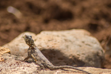 Similar image 20120959