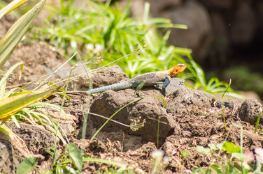 Similar image 20120969