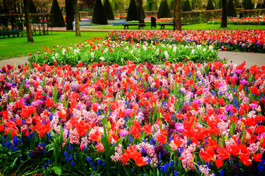 Similar image 20070472