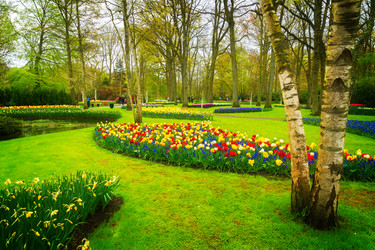 Similar image 20070473