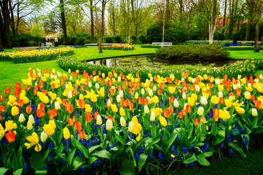 Similar image 20070474