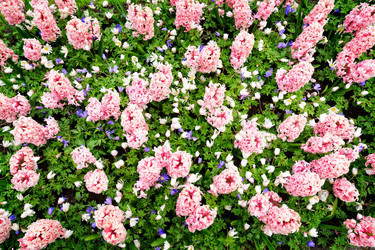 Similar image 20070476