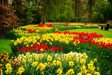 Similar image 20070477