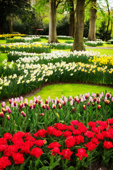 Similar image 20070479