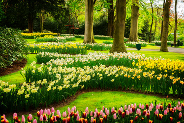 Similar image 20070480