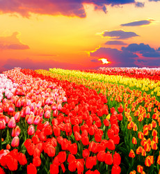 Similar image 20070482