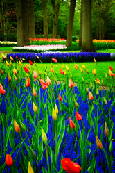 Similar image 20070484