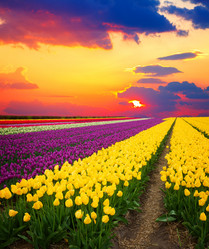 Similar image 20070485