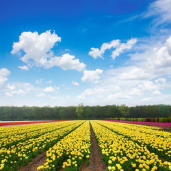 Similar image 20070486