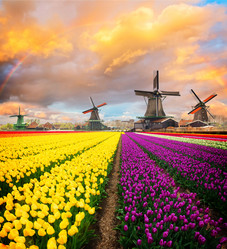 Similar image 20070489