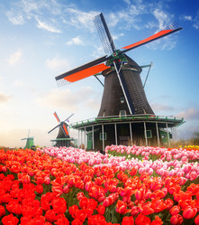 Similar image 20070490