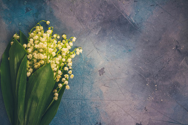 Similar image 20070501