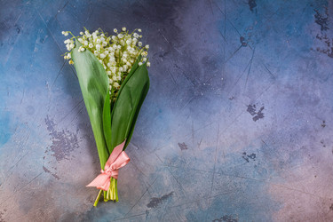 Similar image 20070502