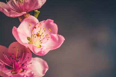 Similar image 20070503