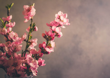 Similar image 20070504