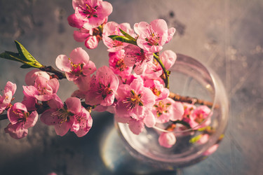 Similar image 20070505