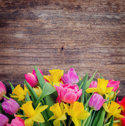 Similar image 20070508