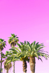 Similar image 20070509