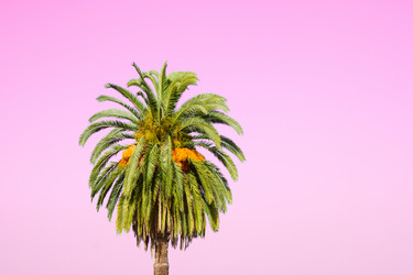 Similar image 20070510