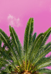 Similar image 20070511