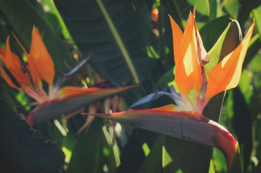 Similar image 20070514