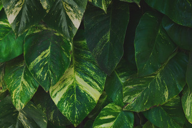 Similar image 20070515